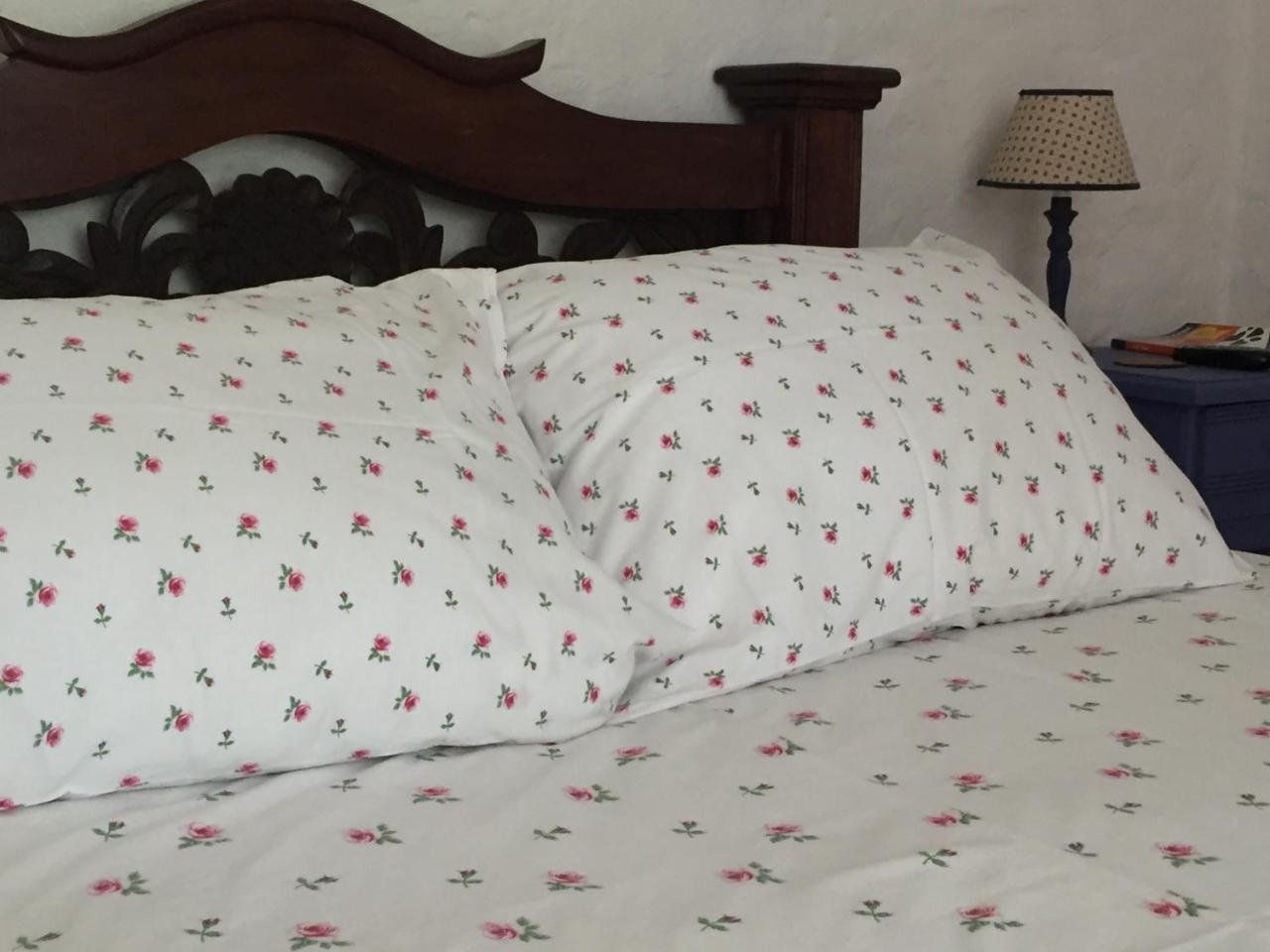 Hotel Casona Las Juanas San Jose de Pare Luaran gambar