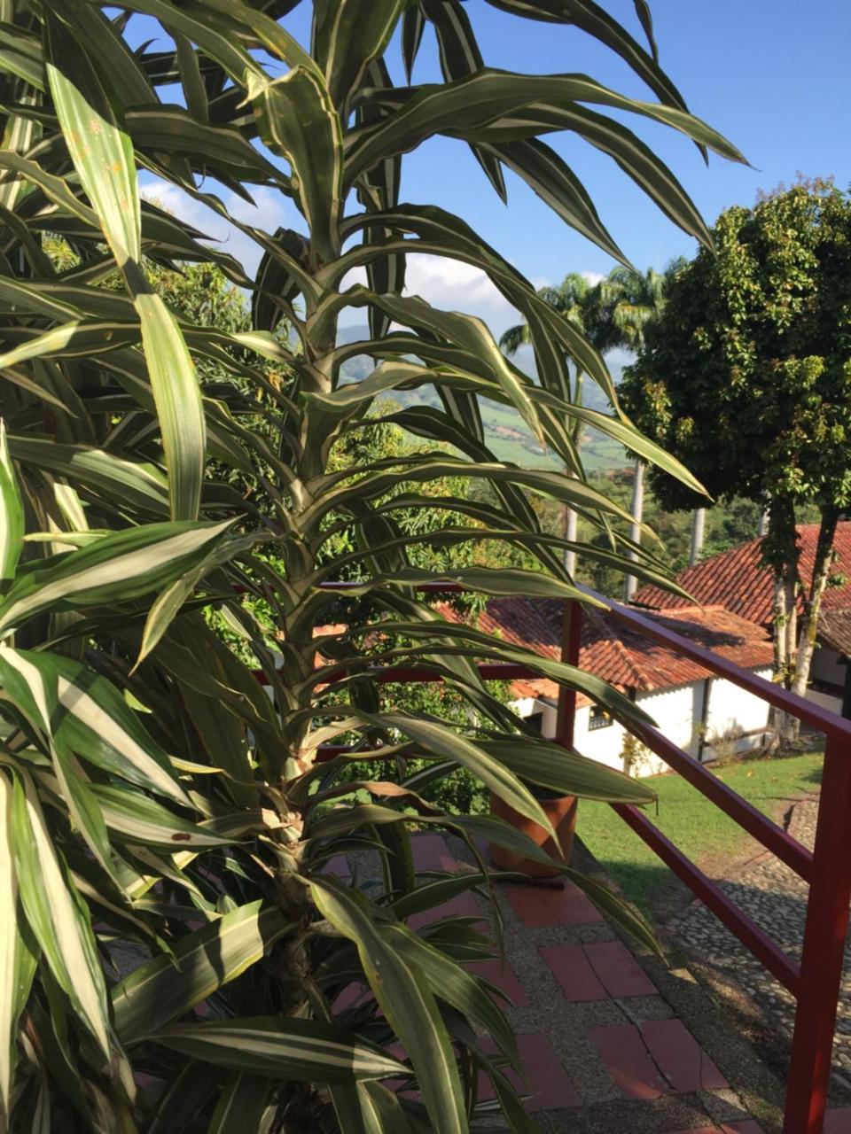 Hotel Casona Las Juanas San Jose de Pare Luaran gambar