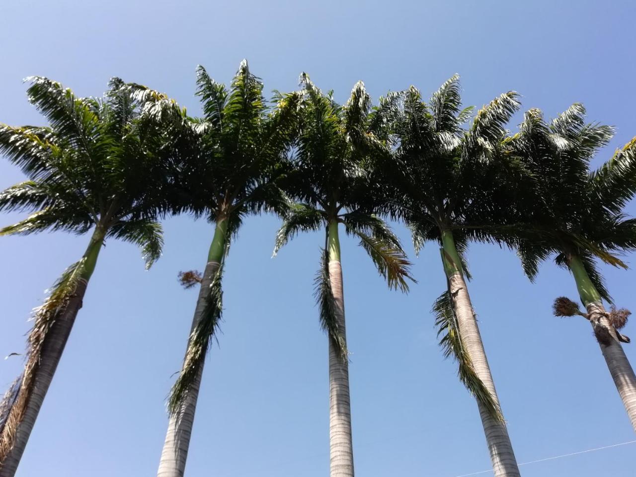 Hotel Casona Las Juanas San Jose de Pare Luaran gambar